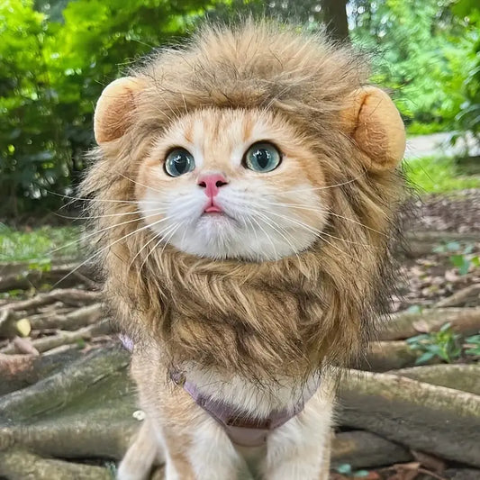Leeuwenkattenkostuum™- Tover jou kat om naar een schattige maar ook stoere leeuw
